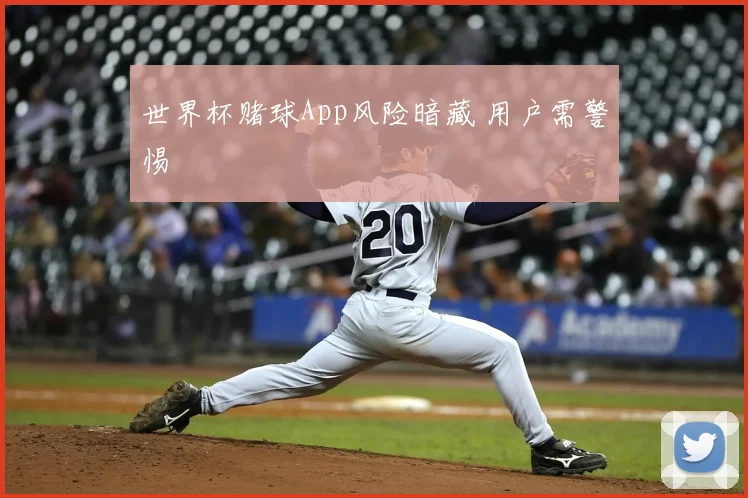 世界杯赌球App风险暗藏 用户需警惕