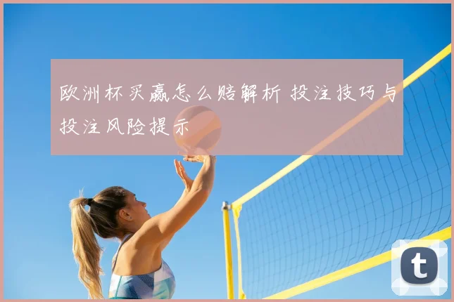 欧洲杯买赢怎么赔解析 投注技巧与投注风险提示