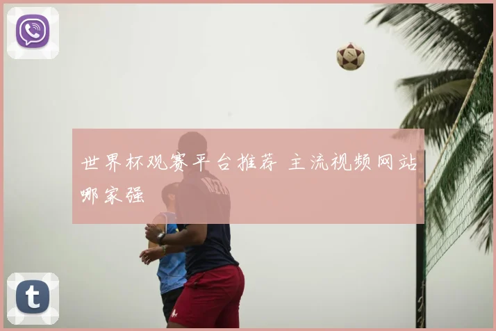 世界杯观赛平台推荐 主流视频网站哪家强