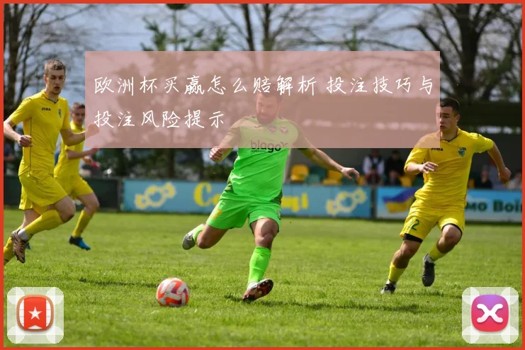 欧洲杯买赢怎么赔解析 投注技巧与投注风险提示