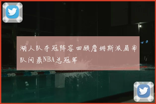 湖人队夺冠阵容回顾詹姆斯浓眉率队问鼎NBA总冠军